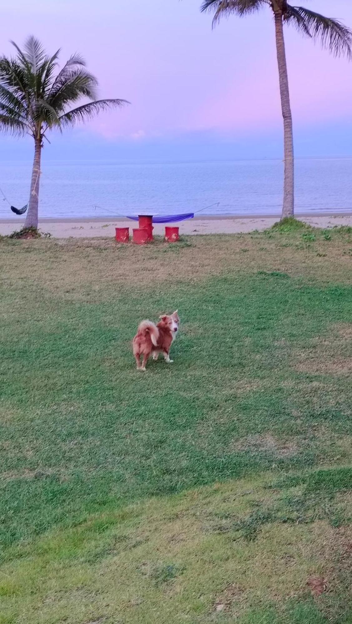 Baan Be Beach Lang Suan Dış mekan fotoğraf